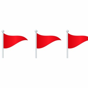 Red Flags (feat. Remedy4Ej) (Explicit)