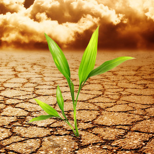 But U (官方正版)