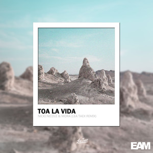 Toa La Vida (Remix)
