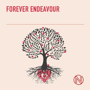 Forever Endeavour