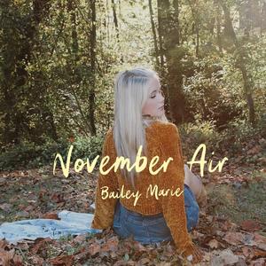 November Air