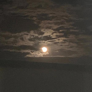 Next lifetime (feat. Leyvulture) (Explicit)