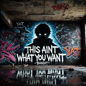 This Aint What U Want (YAT Bandit Edition) (Explicit)