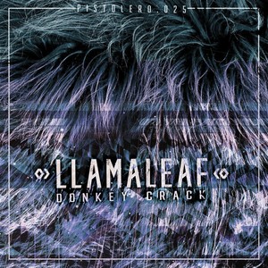 Melodius Coqui (Original Mix)