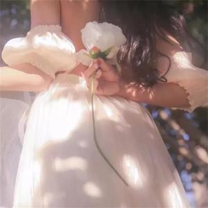 The Woodchuck Song (DJ版)
