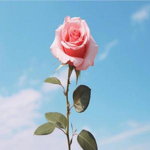 Finally Happy (feat. addy, Biinjo, eurei & YungDrape) (Explicit)