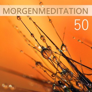 50 Morgenmeditation: Musik für Autogenes Training und Energie schöpfen, Stress Abbauen mit New Age Musik, Naturgeräusche, Geräusche der Vögel zum Meditieren, Yoga & Tiefenentspannung