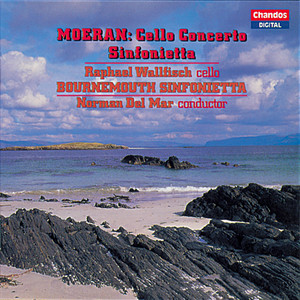 Sinfonietta - III. Allegro risoluto