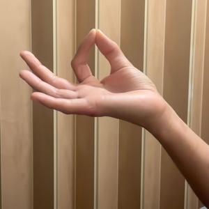 Projectile//Sensate. (Explicit)