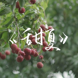 甜夏 (伴奏)