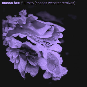 Lumito (Charles Webster Deep Dub)
