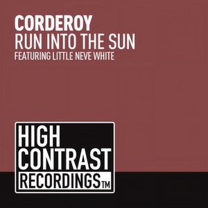 Run Into The Sun (Original Vocal Mix)