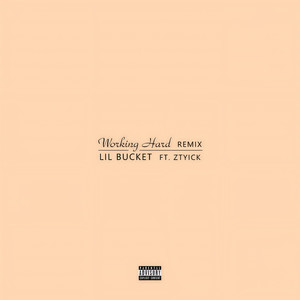 Working Hard (Remix)