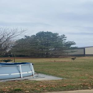 fistfight (Explicit)