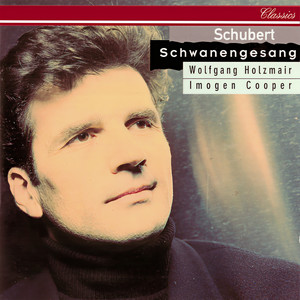 Schwanengesang, D. 957 - Am Meer (艺术歌曲《天鹅之歌》，D. 957 - 海滨)