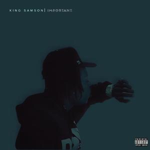 Important (Explicit)