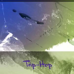 Trip-Hop