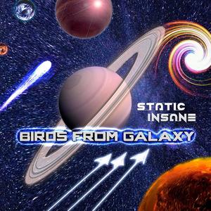 Birds From Galaxy