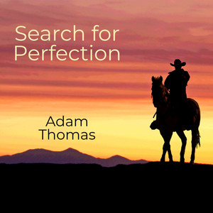 Search for Perfection