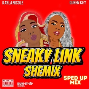 Sneaky Link Shemix (sped up mix|Explicit)