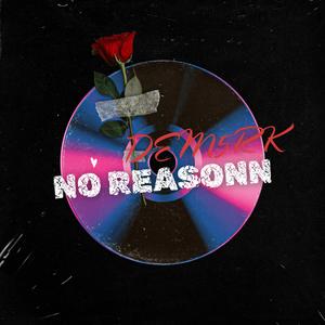 NO REASON (Explicit)