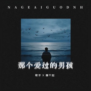 那个爱过的男孩