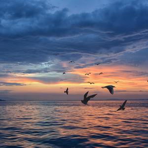 Гладкие звуки океана