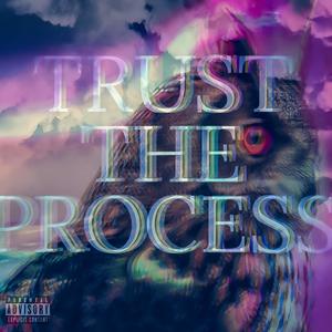 TRUST THE PROCESS (Explicit)