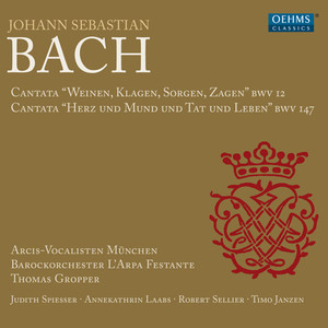 BACH, J.S.: Cantatas - BWV 12, 147 (Arcis-Vocalisten Munich, L'Arpa Festante Baroque Orchestra, Gropper)