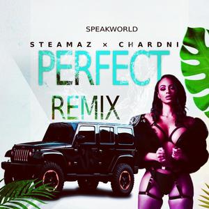 Perfect (feat. chardni) [Perfect Remix] [Explicit]