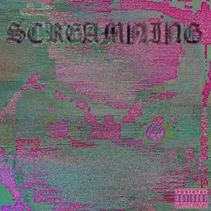 SCREAMING WITH SPITE (Explicit)