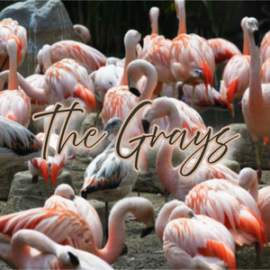 The Grays