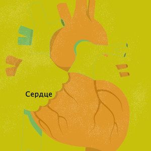 Твое сердце