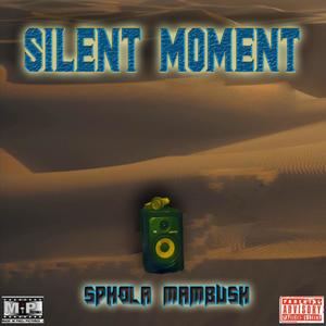 Silent Moment six (feat. Sphola Mambush)