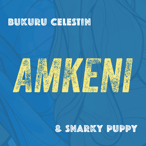 Amkeni