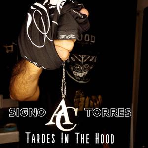 Tardes In The Hood (feat. Signo Torres) (Explicit)