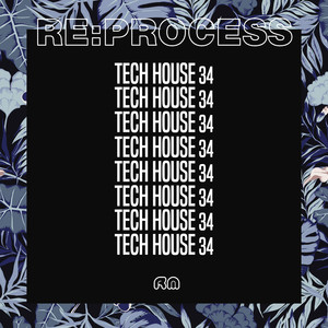 Re:Process: Tech House, Vol. 34