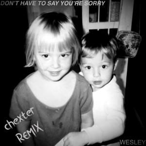 Don’t Have To Say You’re Sorry - Chexter Remix