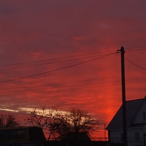 Был я дурак