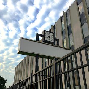 Static Vision Falls Apart