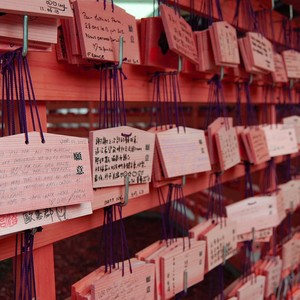 我的小心愿 (Demo)