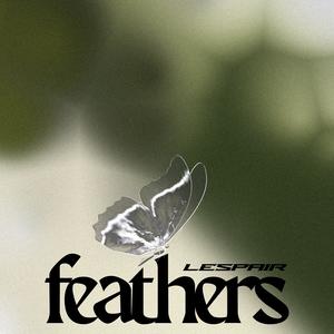 feathers