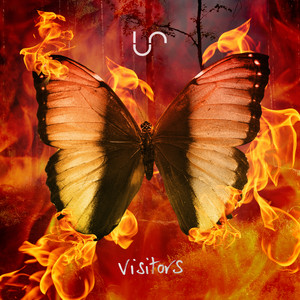 Visitors