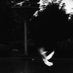 雾里 (空灵女声版)