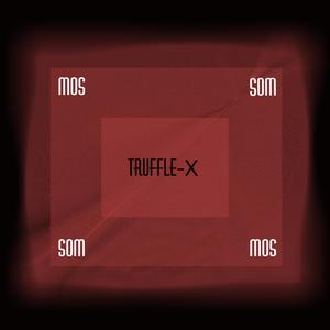 Truffle-X