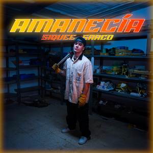 AMANECÍA