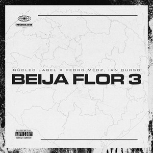 Beija Flor 3 (Explicit)