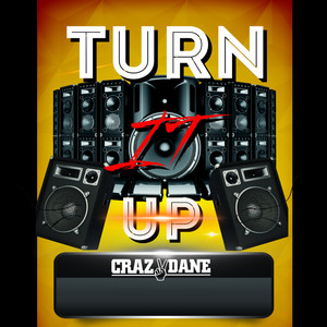 Turn it up (Crazydane Remix)