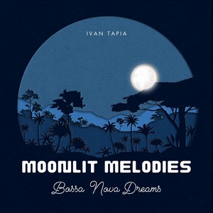 Moonlit Melodies and Bossa Nova Dreams