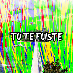 Tu Te Fuiste